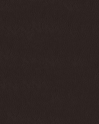 Turner 8020 Chocolate by   