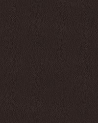 Turner 805 Bisque by   