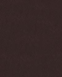 Turner 87 Chestnut by   