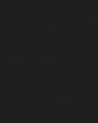 Turner 9009 Black by   