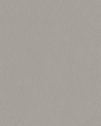 Turner 95 Quicksilver by   