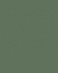 Urban 2006 Lima Bean by   