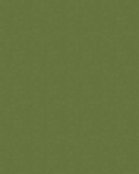 Urban 205 Limelight by   