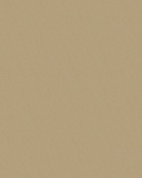 Urban 502 Butter Cream by   