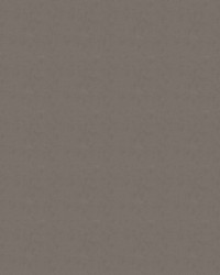 Urban 802 Driftwood by   