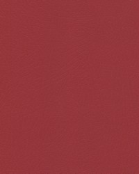 Vaquero 1000 Apple Jack by   