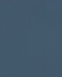 Vaquero 1004 Blue Roan by   