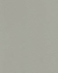 Vaquero 1012 Concha by   