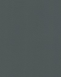 Vaquero 1020 Hematite by   