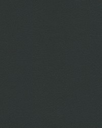 Vaquero 1036 Night Rider by   