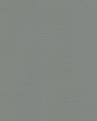 Vaquero 1040 Pyrite by   