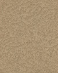 Verona Soft 7483 Camel by   