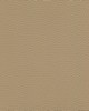 Abbeyshea Fabrics Enduratex Verona 7483 Camel