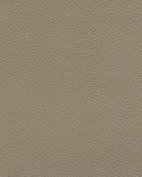 Verona Soft 7528 M Lt Stone by   