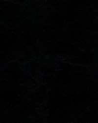 Wallaby 5004 BlackEnduratex by   