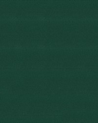 WeatherMax Forest Green by   