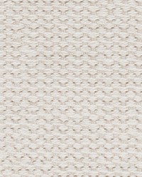 2in Heavy Cotton Web Natural50 YD RL by   