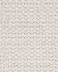 1in Cotton Webbing Natural50 YD RL by  Ralph Lauren 