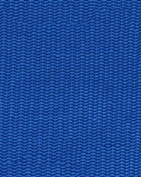 1in Nyl Webbing Royal 100 YD RL by  Ralph Lauren 