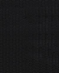1in Nyl Webbing Black 100 YD RL by  Ralph Lauren 