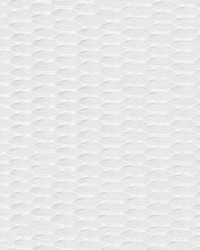 1in Polyester Webbing White 50yd Roll by  Ralph Lauren 