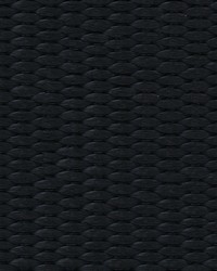 1in Polyester Webbing Black 50yd Roll by  Ralph Lauren 