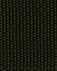 2in Poly Webbing Olive50 YD RL by  Ralph Lauren 