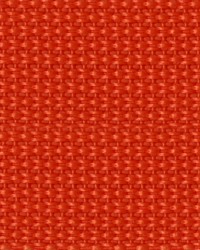 1 1 2in Poly Webbing Orange 50 YD RL by  Ralph Lauren 