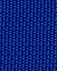 1 1 2in Poly Webbing Royal 50 YD RL by  Ralph Lauren 