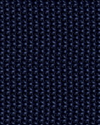 1 1 2in Poly Webbing Navy 50 YD RL by  Ralph Lauren 