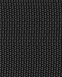 2in Poly Webbing Dark Grey50 YD RL by  Ralph Lauren 