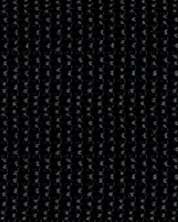 2in Poly Webbing Black50 YD RL by  Ralph Lauren 