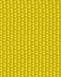 1 1 2in Poly Webbing Yellow 50 YD RL by  Ralph Lauren 
