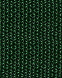 1 1 2in Poly Webbing Green50 YD RL by  Ralph Lauren 