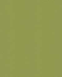 Whisper Vinyl 2160 Sassafras by   