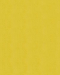 Windsong 716 Jamaican Sun by   