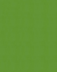 Windsong 717 Lime Cooler by   