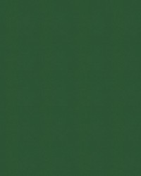 Windsong 723 Palm Green by   