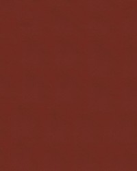 Windsong 737 Cajun Spice by   