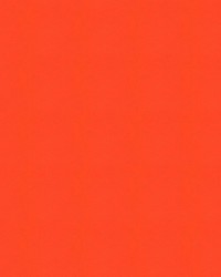 Windsong 738 Cancun by   