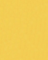 Windsong 749 Sun Glow by   