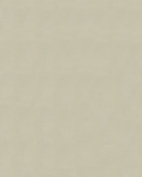 Windsong 753 Vanilla Cream by   