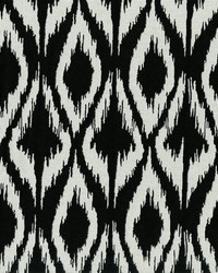 Wink 909 Midnight by   