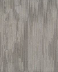 Wright 609 Chinchilla by   