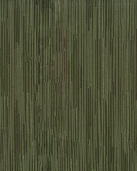 Wright 702 Jungle by   