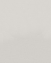 Zander 3103 Brilliant White by   