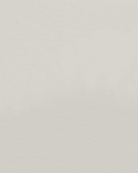 Zander 3104 Off White by   