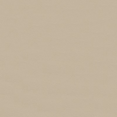 Zander ZAN 3108 Parchment ZANDE3108 Beige Polyvinyl  Blend Fire Rated Fabric High Wear Commercial Upholstery CA 117  NFPA 260  Marine Upholstery Vinyl Fabric