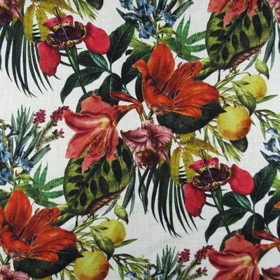 Hamilton Fabric Bermuda Multi Multi Large Print Floral  Tropical   Fabric