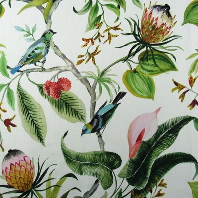 Hamilton Fabric Paradise Leaf in NoImage Green  Blend Birds and Feather  Leaves and Trees  Modern Floral  Fabric